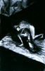 Filename=1992_Untitled.jpg
Filesize=35KB
Dimensions=321x500
Date added=Jan 30, 2008 1992_Untitled.jpg