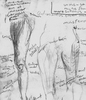 Filename=1992_life_study_2.jpg
Filesize=53KB
Dimensions=431x500
Date added=Jan 30, 2008 1992_life_study_2.jpg