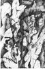 Filename=1992_underground_0.jpg
Filesize=62KB
Dimensions=330x500
Date added=Jan 30, 2008 1992_underground_0.jpg