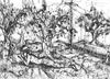 Filename=1997_orchard.jpg
Filesize=131KB
Dimensions=640x463
Date added=Jan 30, 2008 1997_orchard.jpg