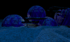 2000_TEME_5.jpg