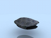 2005_study_terrapin_02.jpg