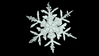 2007_Snowflake_animated_1.jpg
