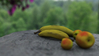 2007_Still_life_fruit_final_300.jpg