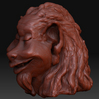 2007_face_lionman1.jpg