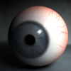 2008_Elliott_Mitchell_eye_stage3.jpg